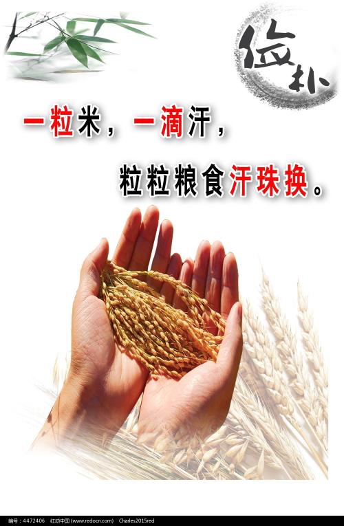 広島市立大学机械工程文凭证书